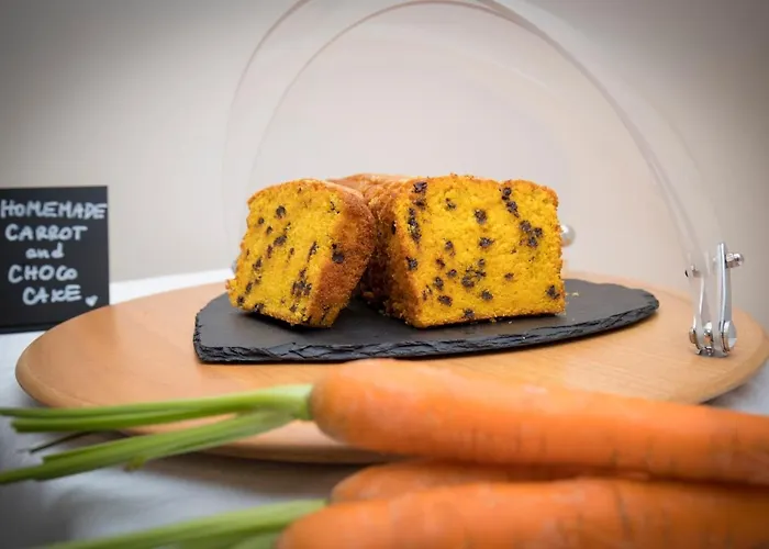 Oasi 马尔切西内