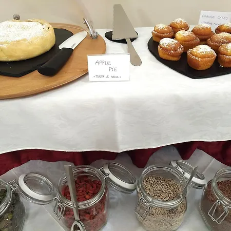 Oasi מאלצ'סינה